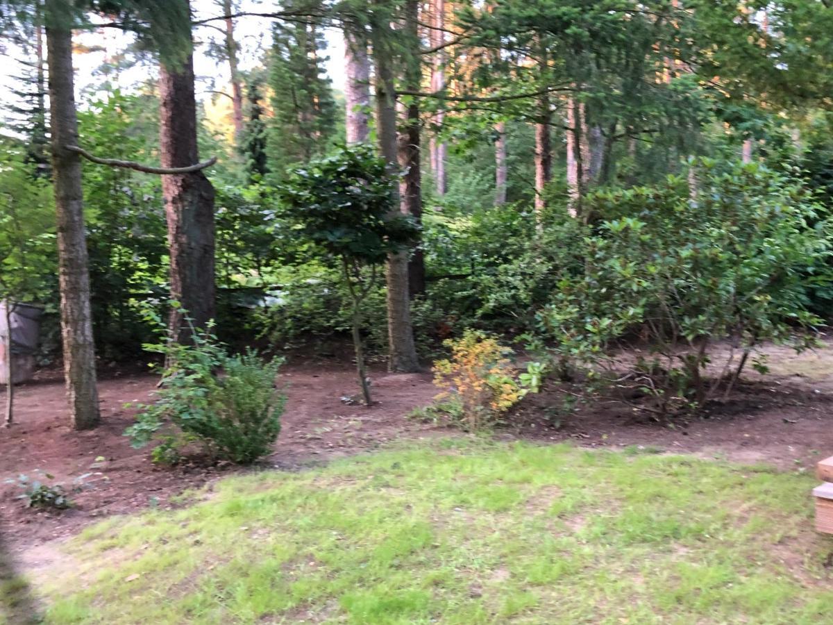 Ferienhaus Reetdach 1300Qm Privatgrundstueck Bootssteg Sauna Templin Luebbesee Uckermark Erholung Pur Seenplatte Petersdorf  المظهر الخارجي الصورة