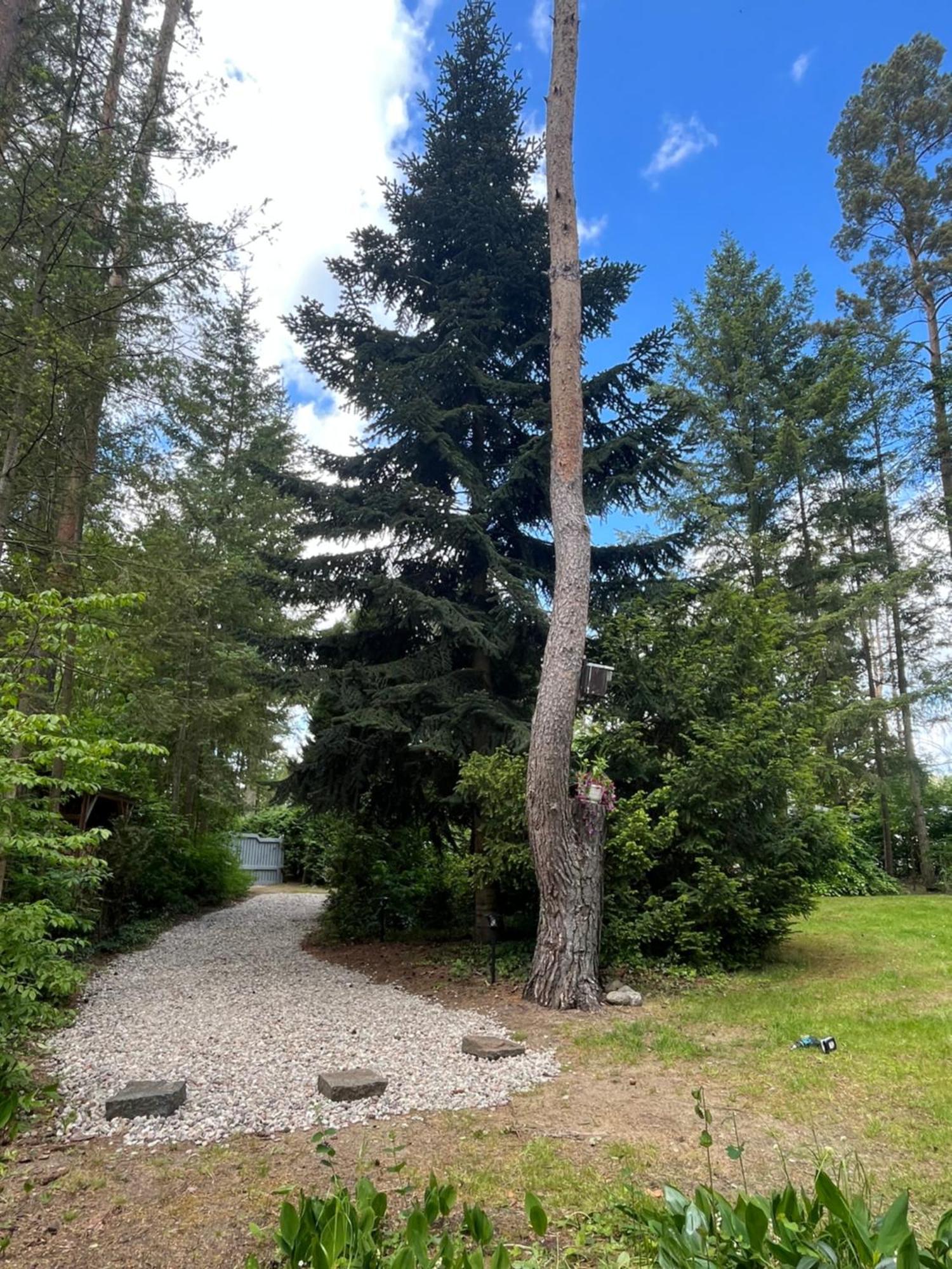 Ferienhaus Reetdach 1300Qm Privatgrundstueck Bootssteg Sauna Templin Luebbesee Uckermark Erholung Pur Seenplatte Petersdorf  المظهر الخارجي الصورة